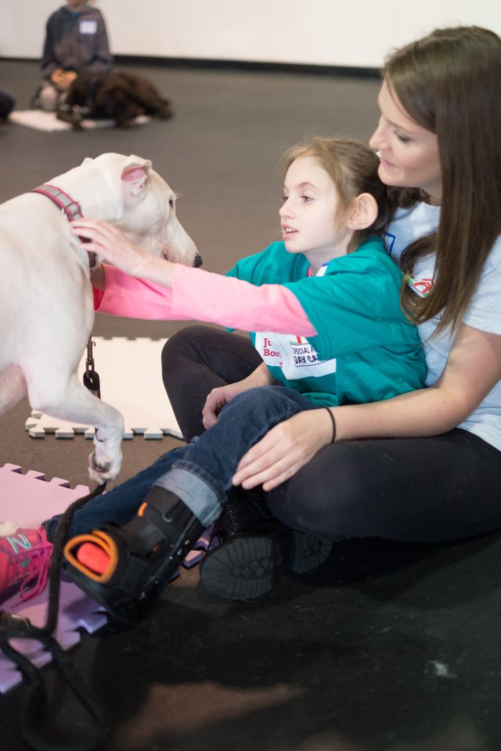 Dogs helping special needs people